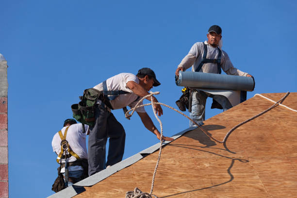 Roof Gutter Cleaning in Laie, HI